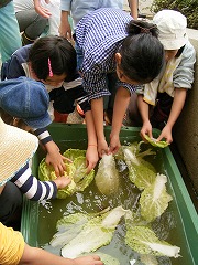 17st_g11.jpg