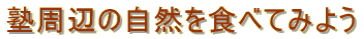 $B=N<~JU$N<+A3$r?)$Y$F$_$h$&(B