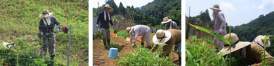 豪快に暑さを笑い飛ばしつつの渾身の草刈りに感服しました