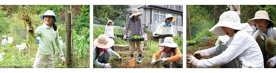 午前中は、ゴボウ掘りの代わりにチーム農園作業に。